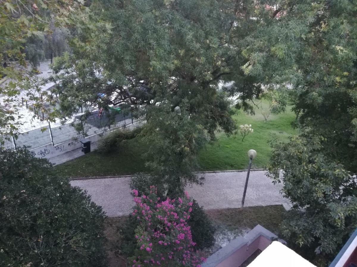 Cozy Independent Room Lisboa المظهر الخارجي الصورة